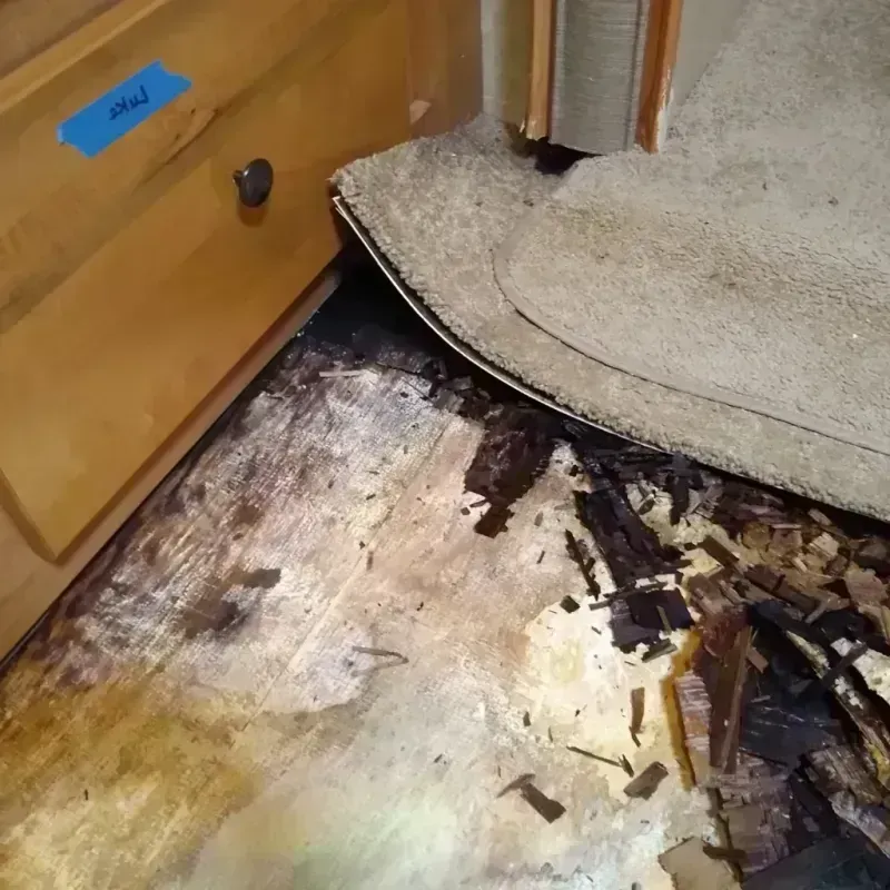 Best Wood Floor Water Damage Service in Middleton, WI